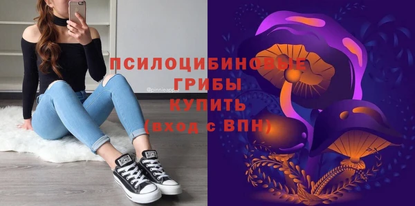 Альфа ПВП Бугульма